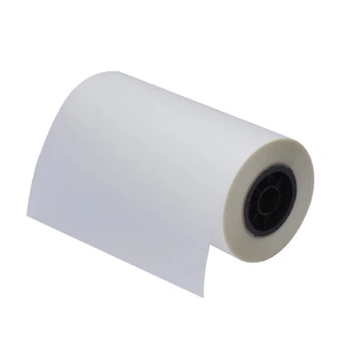 Film de transfert DTF 40cm * 100m Double de pelage chaud / froid mat